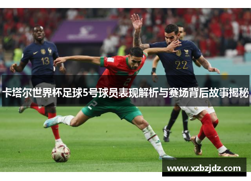 卡塔尔世界杯足球5号球员表现解析与赛场背后故事揭秘